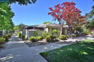Photo #1: 41138306 Listing 