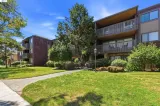 Primary Photo for MLS#: 41138308