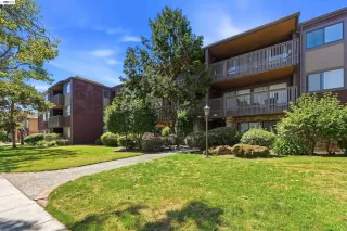 Primary Photo for MLS#: 41138308