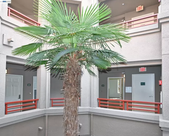 MLS: 41138334 Condo For Sale