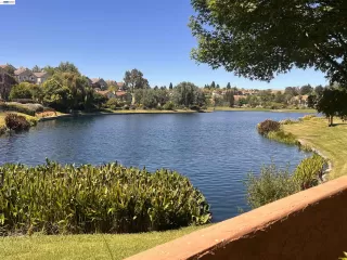Photo #1: 41138405 Listing 