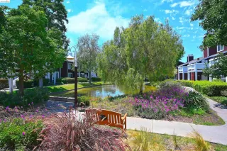 Photo #1: 41138409 Listing