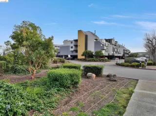Photo #5: 41138454 Listing