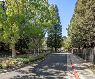 Photo #1: 41138709 Listing 