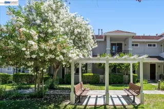 Photo #1: 41138774 Listing 