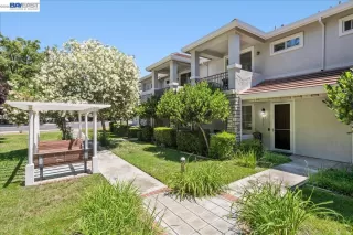 Photo #2: 41138774 Listing 