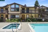 Primary Photo for MLS#: 41138816