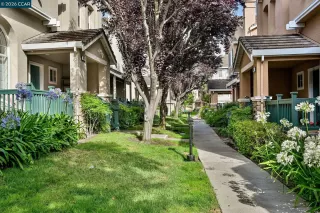Photo #1: 41138899 Listing 