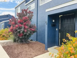 Photo #1: 41138978 Listing 