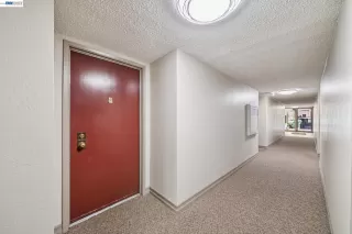 Photo #1: 41139076 Listing
