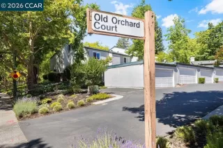 Photo #1: 41139238 Listing 