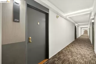 Photo #5: 41139414 Listing