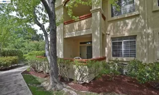Photo #1: 41139549 Listing 