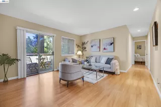 Photo #1: 41139573 Listing 
