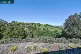 Photo #1: 41139884 Listing 