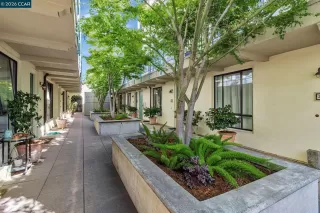 Photo #2: 41140055 Listing 