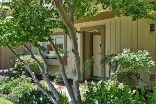 Photo #1: 41140419 Listing