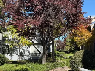 Photo #3: CRIG25251463 Listing